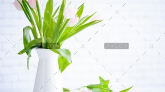 demo attachment 783 brooke lark 210780@2x