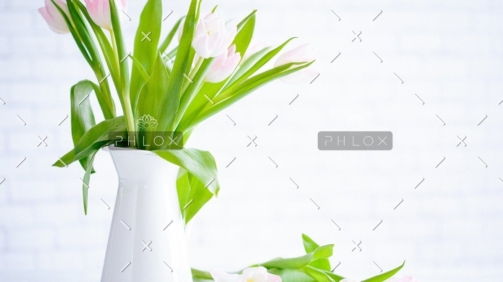 demo attachment 783 brooke lark 210780@2x