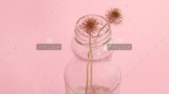 demo attachment 796 photo 1429679310900 bad303d0e63a 1@2x